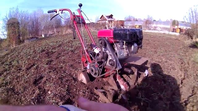 Сидераты заделка в почву. Как я победил проволочника и паршу. Задний ход на мотокультиваторе. смотреть онлайн