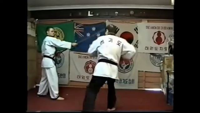 SGM Sung Soo Lee, founder Hapkido Moo Hak Kwan 9th Dan KHF смотреть онлайн