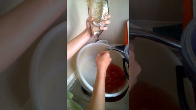 как быстро почистить рыбу не жалея ногтей смотреть онлайн