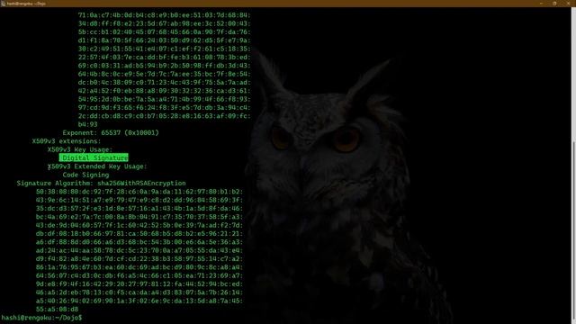 OpenSSL Tutorial Video-7 | Generating Digital Certificates using OpenSSL смотреть онлайн