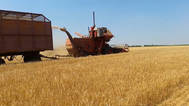 Уборка пшеницы 1 смотреть онлайн