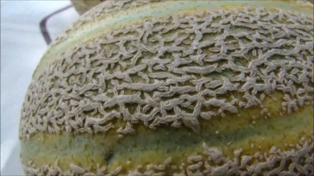 Дыни выросли сочными и сахарными! смотреть онлайн