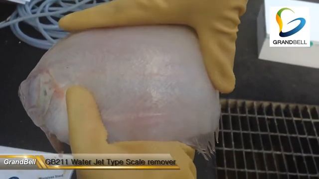 машина для удаления чешуи водой под давлением и для мойки рыбы смотреть онлайн