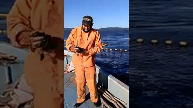 Работали на неводе смотреть онлайн