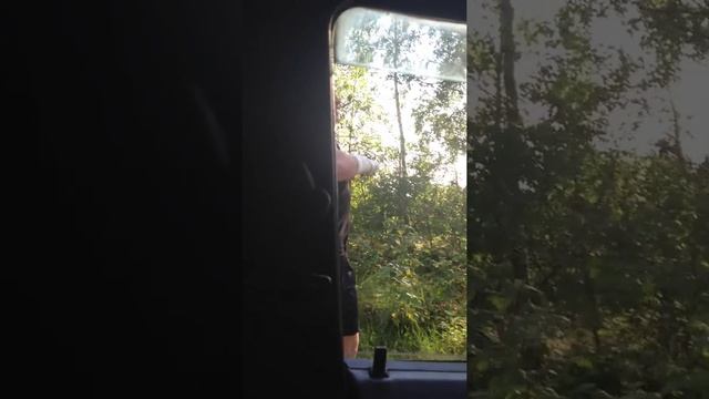 Водитель смотреть онлайн