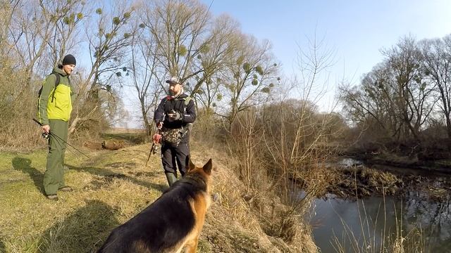 Ловля щуки по холодной воде. Рыбалка зимой с собакой. Favorite Team. смотреть онлайн
