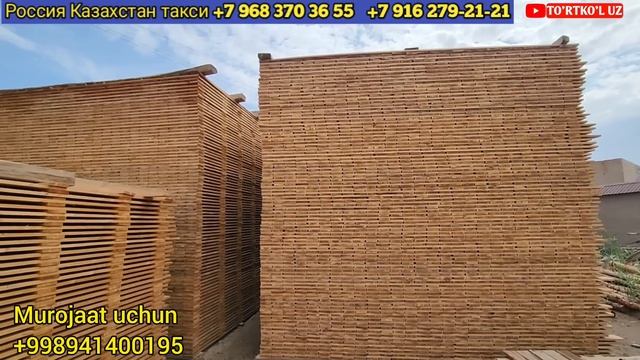 9 июня 2023 г. ТУРТКУЛЬ ТАХТА ЁГОЧ НАРХЛАРИ