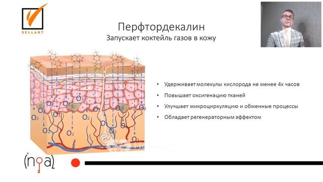 НЕ ТСА. Система химической ревитализации DeepSkinArt. Первые солевые химические пилинги смотреть онлайн