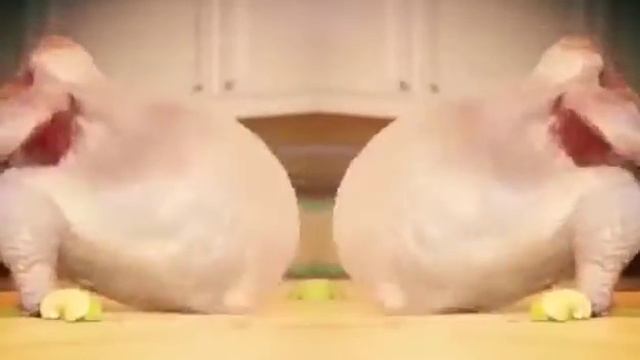 Тверк курицы смотреть онлайн
