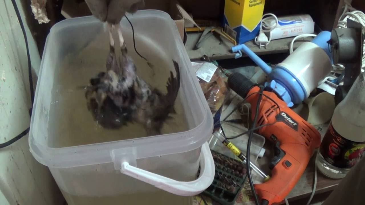 перосъемная машина косяк смотреть онлайн