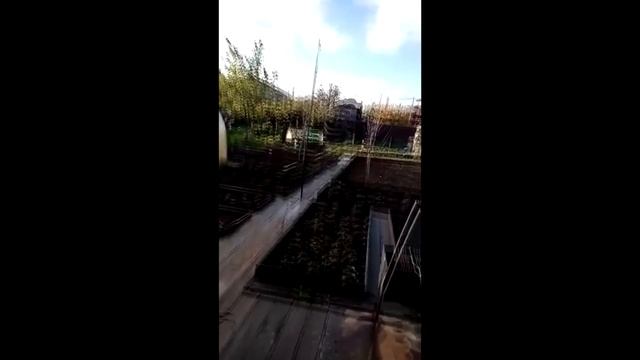 Ловля певчих птиц 2020. Птицы Урала. Щеглы, дрозды, вьюрки и т.д. смотреть онлайн