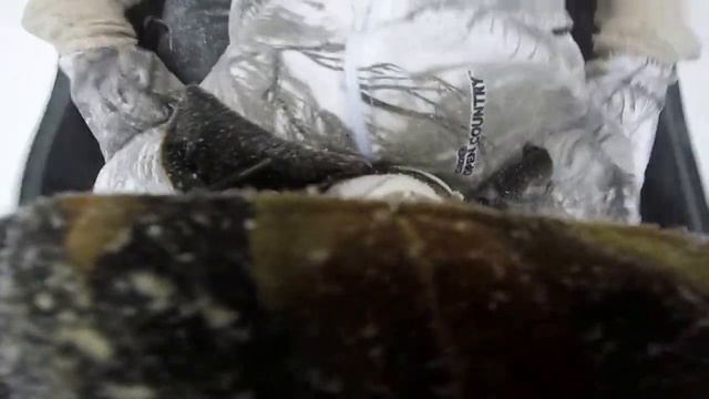 Поездка в санях 2 смотреть онлайн