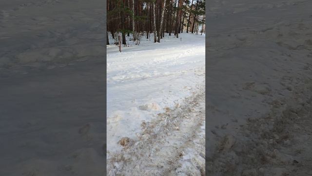 Что происходит с телом под воздействием пробуждения зерна света в нем?Как помочь самому себе? смотреть онлайн