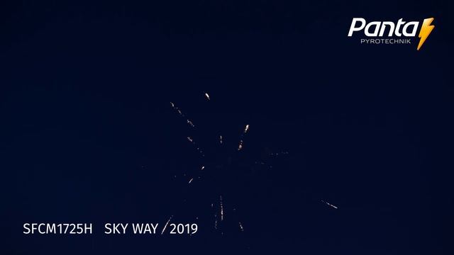 PPB25701 SKY WAY 2019 detail смотреть онлайн