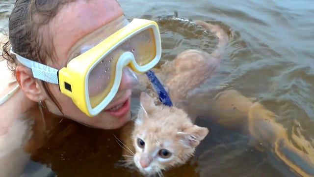 Этот котик любит плавать смотреть онлайн