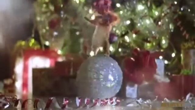 2 февраля 2017 г. смотреть онлайн