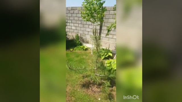 Удивительно красивые и места и люди бывают в Шымкенте смотреть онлайн