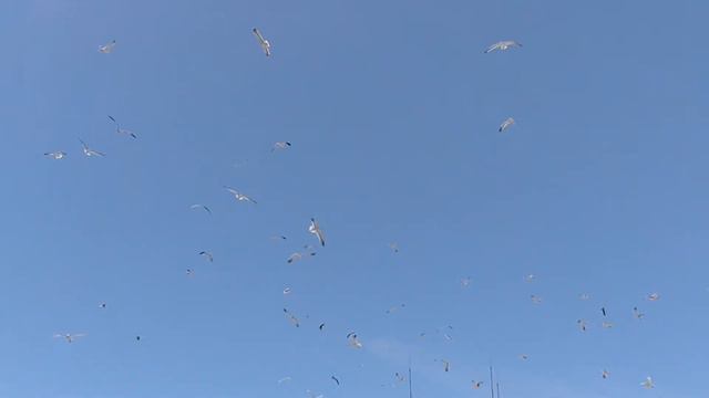 Море рядом смотреть онлайн
