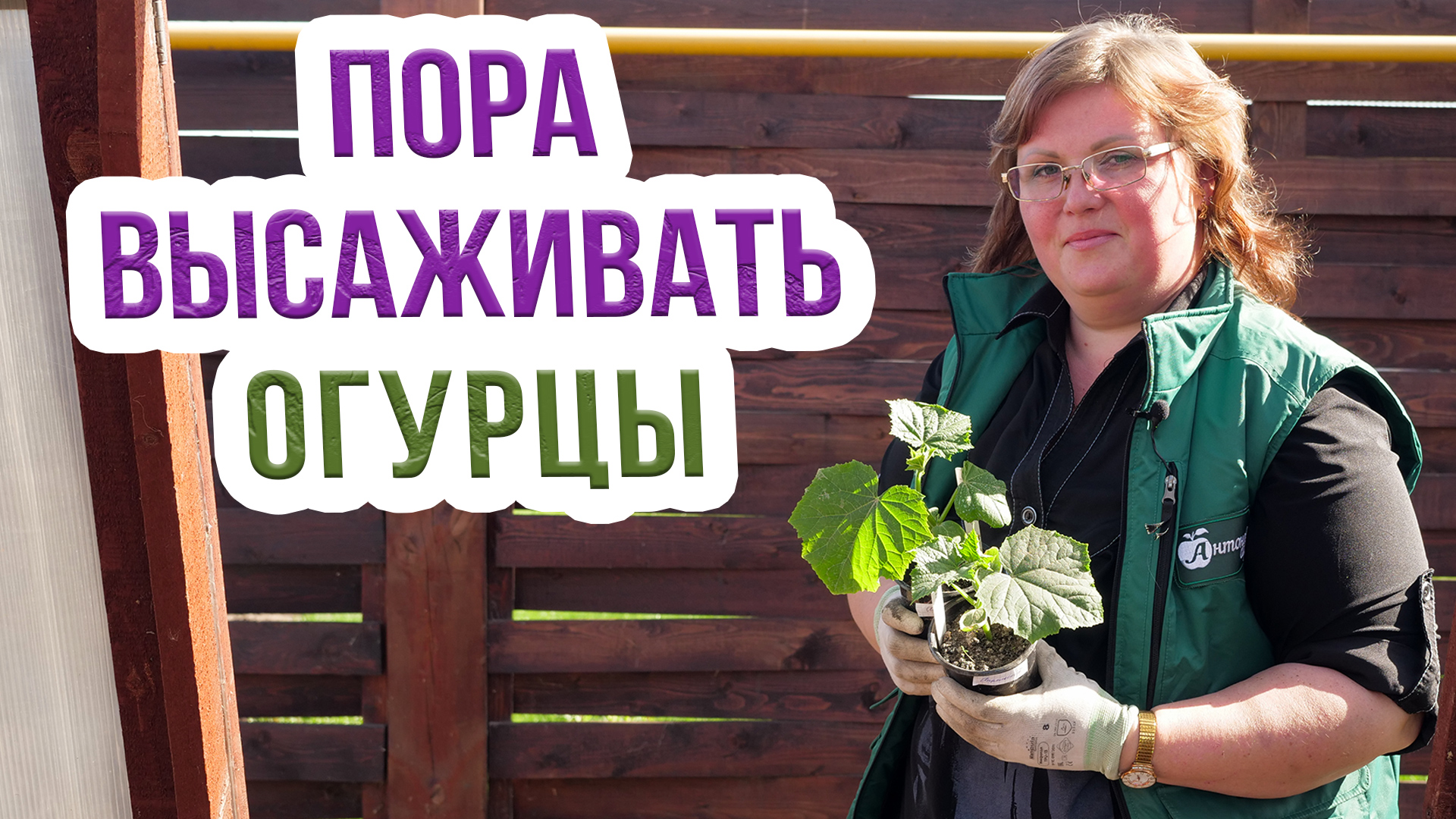 Готовим теплую грядку для огурцов. Как сделать теплую грядку весной