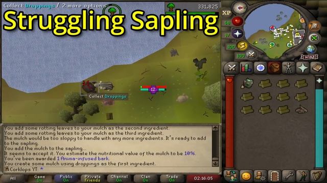 Beginner's Guide To Forestry In OSRS - How To Do All Events - Easy Money Maker смотреть онлайн