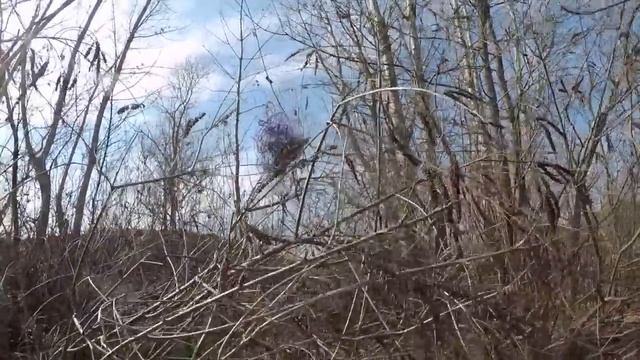 ЭХ!!! ХВОСТ ЧЕШУЯ / Вот это рыбалка / Рыбалка на спиннинг