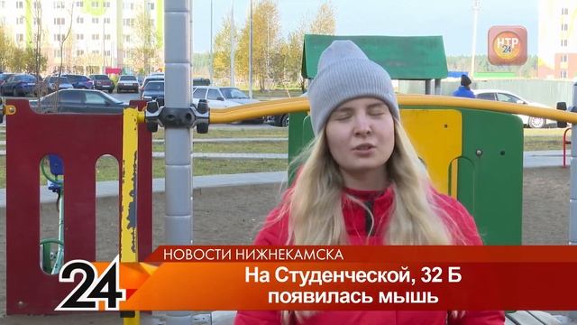 В доме на ул. Студенческой в Нижнекамске завелись мыши смотреть онлайн