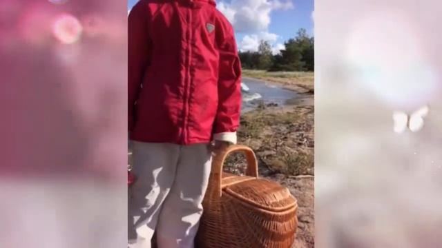 Поход в лес и размышления перед сном. смотреть онлайн