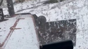 Хроника вывоза навоза