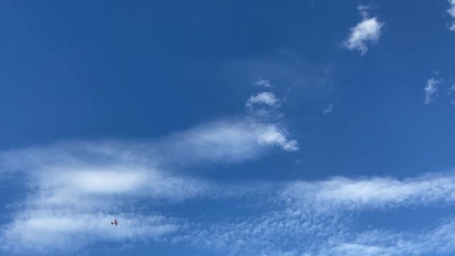Пеликан в Великих Луках 2021 смотреть онлайн