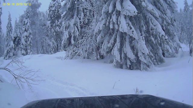 Зимний лес у подножья горы ШУНУТ смотреть онлайн