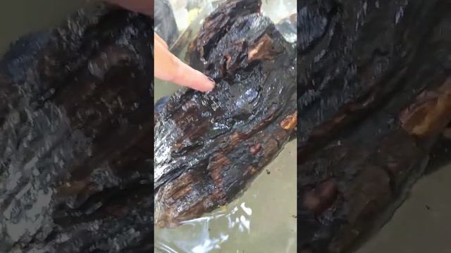 Искусство и Технологии Творчества