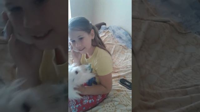 Сегодня день рождения про меня все забыли а потом вспомнили Мне подарили собаку смотреть онлайн