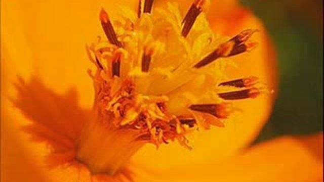 Хадисы Придерживаться легкого и не создавать затруднений 1 смотреть онлайн