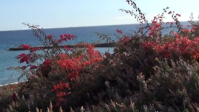 Канарские острова,отель Исабель,Tenerife,Costa Adeje, Hotel Isabel смотреть онлайн