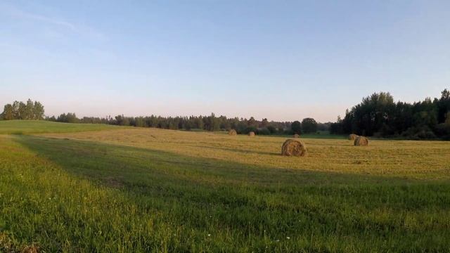 #ЮМЗ6 заготовка сена идёт полным ходом смотреть онлайн