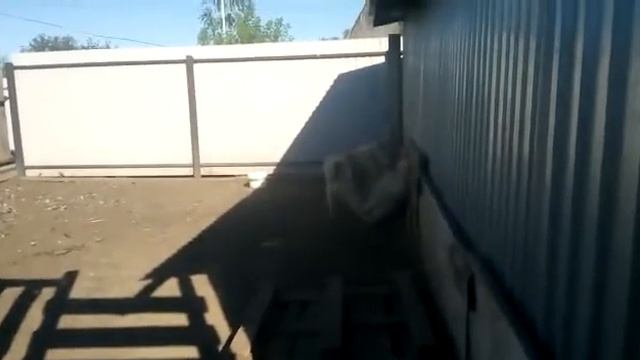 было время , мои лайки смотреть онлайн