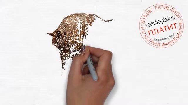 Как нарисовать лошадь простым карандашом поэтапно смотреть онлайн