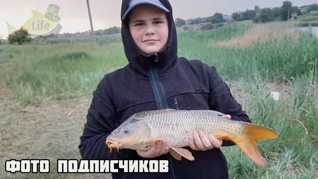 Как ловить карпа на поплавочную удочку с берега? Секреты ловли карпа на поплавок! смотреть онлайн