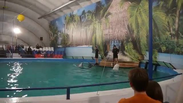 Дельфинарий на ВВЦ