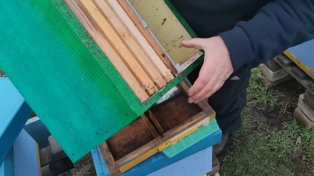 ВЫСШИЙ УРОВЕНЬ КАК УВЕЛИЧИТЬ БЫСТРО ПАСЕКУ ОТВОДКИ В ППС ЗИМОВКА ОСМОТР ПЧЁЛ в ППС 4-8 улочек✅☝️? смотреть онлайн