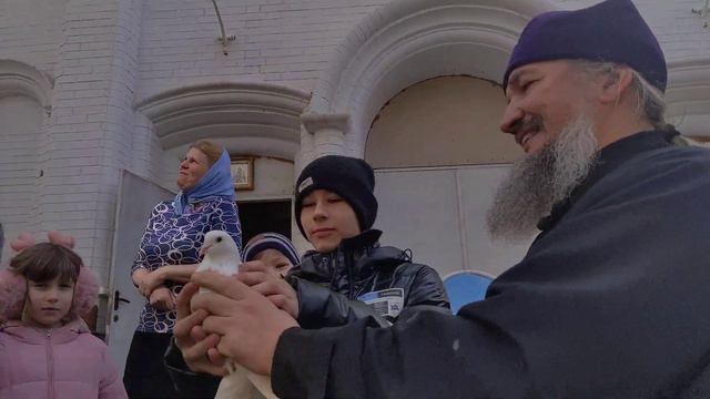 Пускаем голубей. смотреть онлайн