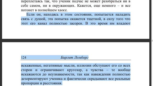 Совместное чтение: "Зеркало Ученика" Биргит Ломборг. Часть 13. смотреть онлайн
