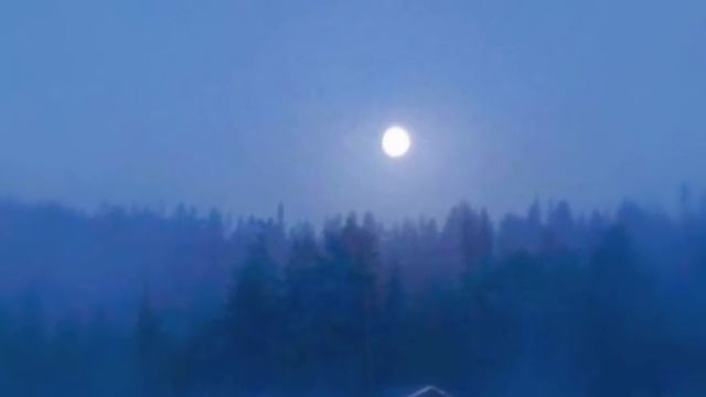 On An Island (Polly Samson & David Gilmour)Michael Dallas смотреть онлайн