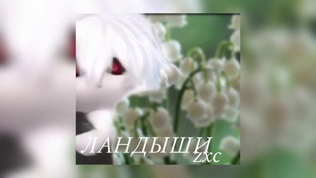 astral step & Ландыши (mashup) смотреть онлайн