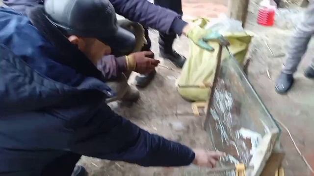 Gibkiy Kamen Andijon, Gul Chiqarishni O'rganamiz+998934150086