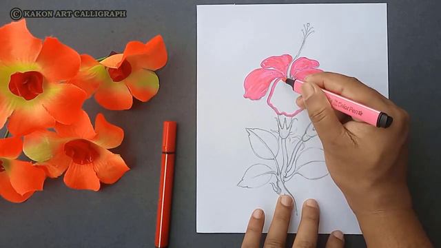 How to draw a flower step by step | 🌺 China Rose - Hibiscus flower drawing and coloring video смотреть онлайн