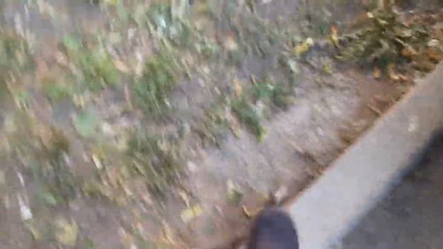 Гайд как изгнать негра смотреть онлайн