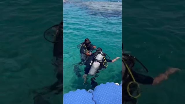 Time to dive. Red Sea. Hilton Sharks bay. Sharm el Sheikh. Отель Хилтон Шаркс бей. Египет. Дайвинг смотреть онлайн