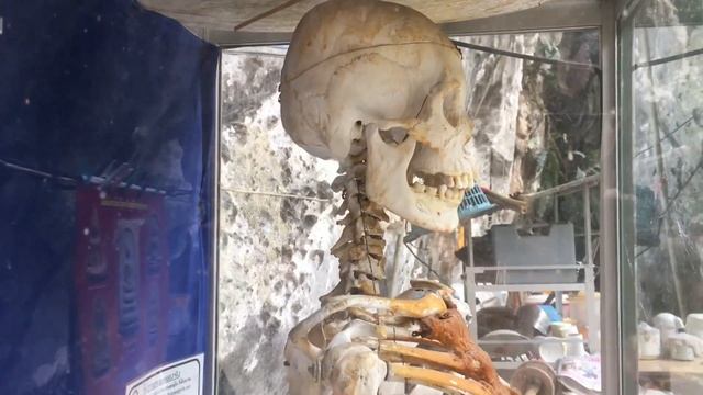 Жизнь буддистских монахов в Краби(Таиланд) смотреть онлайн