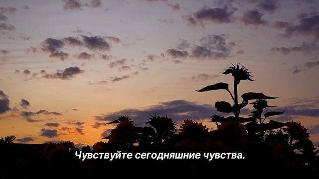 "Отпустить сопротивление". 20 июля. Мелоди Битти. Ежедневник для созависимых. смотреть онлайн